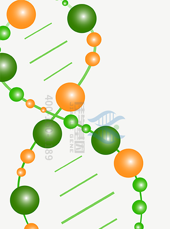 【佳学基因解码-基因检测】不吸烟的人是什么原因得的肺癌 【佳学基因解码-基因检测】不吸烟的人是什么原因得的肺癌