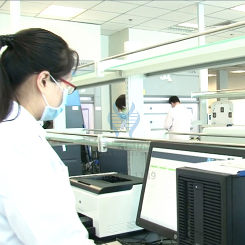 【佳学基因解码-基因检测】罕见病基因检测之C3肾小球病 【佳学基因解码-基因检测】罕见病基因检测之C3肾小球病