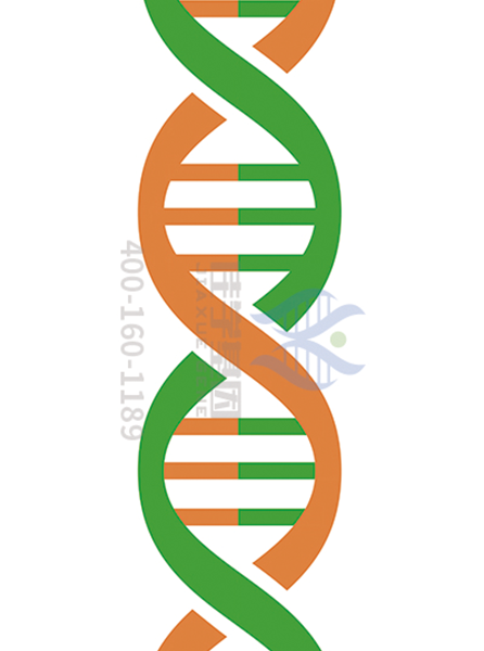 【佳学基因-基因检测】如何才能不患溶血性贫血? 【佳学基因-基因检测】如何才能不患溶血性贫血?