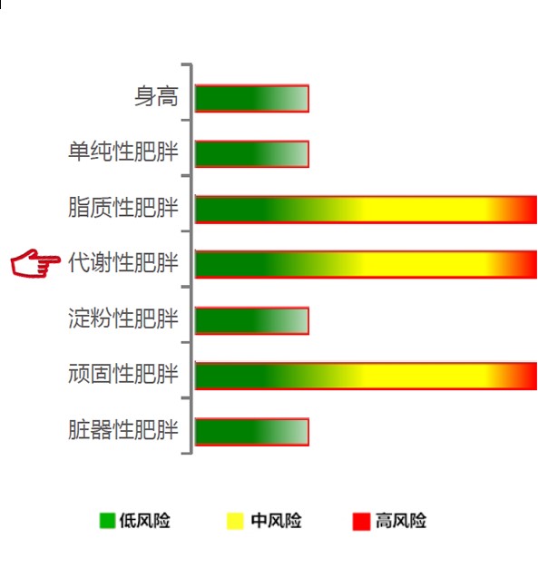 【佳学基因检测】代谢性肥胖基因解码、基因检测 【佳学基因检测】代谢性肥胖基因解码、基因检测