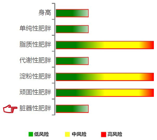 【佳学基因检测】脏器性肥胖基因解码、基因检测 【佳学基因检测】脏器性肥胖基因解码、基因检测