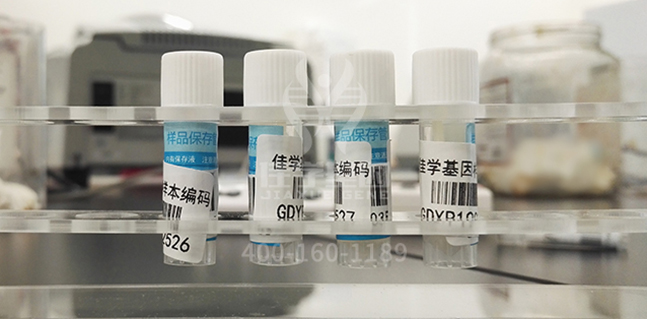 【佳学基因解码-基因检测】你知道吗?原来色盲眼中的世界是这样的 【佳学基因解码-基因检测】你知道吗?原来色盲眼中的世界是这样的