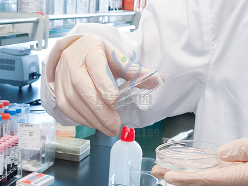 【佳学基因解码-基因检测】你知道吗?原来色盲眼中的世界是这样的 【佳学基因解码-基因检测】你知道吗?原来色盲眼中的世界是这样的