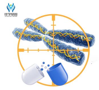 【佳学基因解码-基因检测】家属患了胃肠间质瘤,该如何选择正确的治疗方案? 【佳学基因解码-基因检测】家属患了胃肠间质瘤,该如何选择正确的治疗方案?