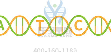 【佳学基因解码