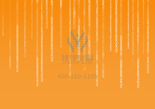 前言|肢带型肌营养不良基因治疗最新进展