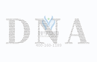【佳学基因检测】最新研究:喝酒基因与选择伴侣有关 【佳学基因检测】最新研究:喝酒基因与选择伴侣有关