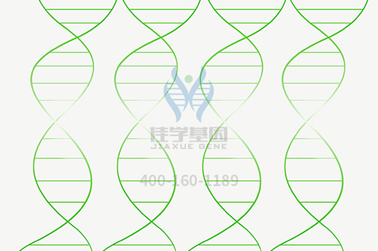 【佳学基因-基因检测】基因探索：中国人的基因带有“奴性基因”吗？