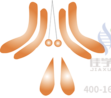 【佳学基因检测】无精症,是不是就意味和孩子无缘了? 【佳学基因检测】无精症,是不是就意味和孩子无缘了?