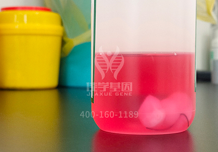 【佳学基因解码-基因检测】给又懒又馋的你找点借口,就让基因来背这个锅! 【佳学基因解码-基因检测】给又懒又馋的你找点借口,就让基因来背这个锅!