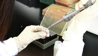 【佳学基因解码-基因检测】幽闭恐惧症,是矫情还是真病? 【佳学基因解码-基因检测】幽闭恐惧症,是矫情还是真病?