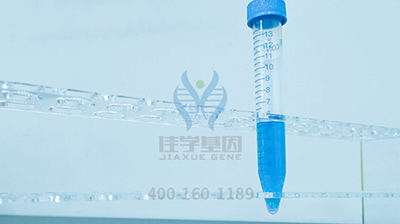 【佳学基因解码-基因检测】马拉松选手突发心梗,你真的适合跑马拉松吗? 【佳学基因解码-基因检测】马拉松选手突发心梗,你真的适合跑马拉松吗?