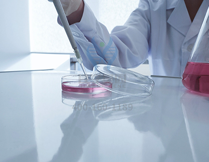 【佳学基因解码-基因检测】马拉松选手突发心梗,你真的适合跑马拉松吗? 【佳学基因解码-基因检测】马拉松选手突发心梗,你真的适合跑马拉松吗?