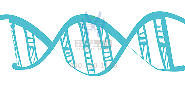 【佳学基因-基因检测】儿童补充维生素千万别乱来——缺乏、过量均有害! 【佳学基因-基因检测】儿童补充维生素千万别乱来——缺乏、过量均有害!