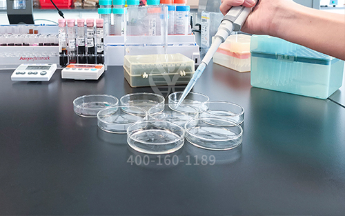 【佳学基因解码-基因检测】世界首例体细胞克隆猴在中国诞生,基因编辑技术如何更好的服务人类? 【佳学基因解码-基因检测】世界首例体细胞克隆猴在中国诞生,基因编辑技术如何更好的服务人类?