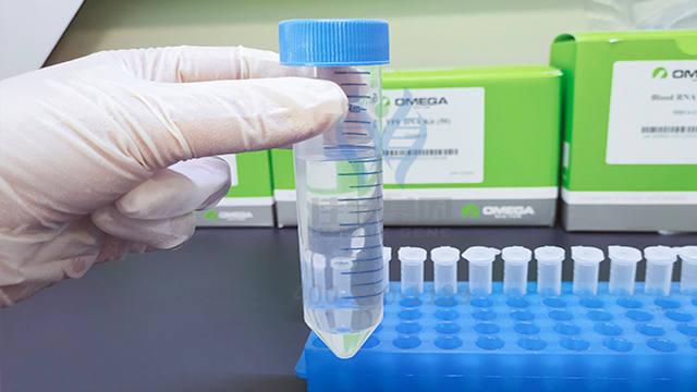 【佳学基因解码-基因检测】世界首例体细胞克隆猴在中国诞生,基因编辑技术如何更好的服务人类? 【佳学基因解码-基因检测】世界首例体细胞克隆猴在中国诞生,基因编辑技术如何更好的服务人类?