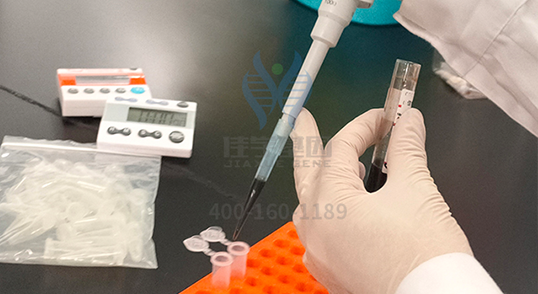 【佳学基因-基因检测】命中注定“单身狗” 【佳学基因-基因检测】命中注定“单身狗”