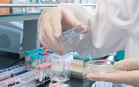 【佳学基因-基因检测】神奇的基因之发现让男人出柜的基因 【佳学基因-基因检测】神奇的基因之发现让男人出柜的基因