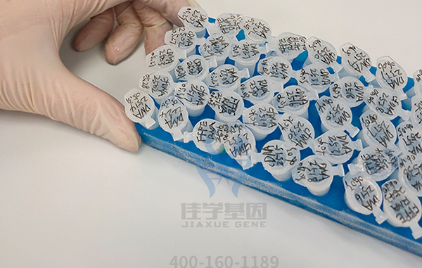 【佳学基因检测】西藏自治区延安市基因检测专科医院 【佳学基因检测】西藏自治区延安市基因检测专科医院