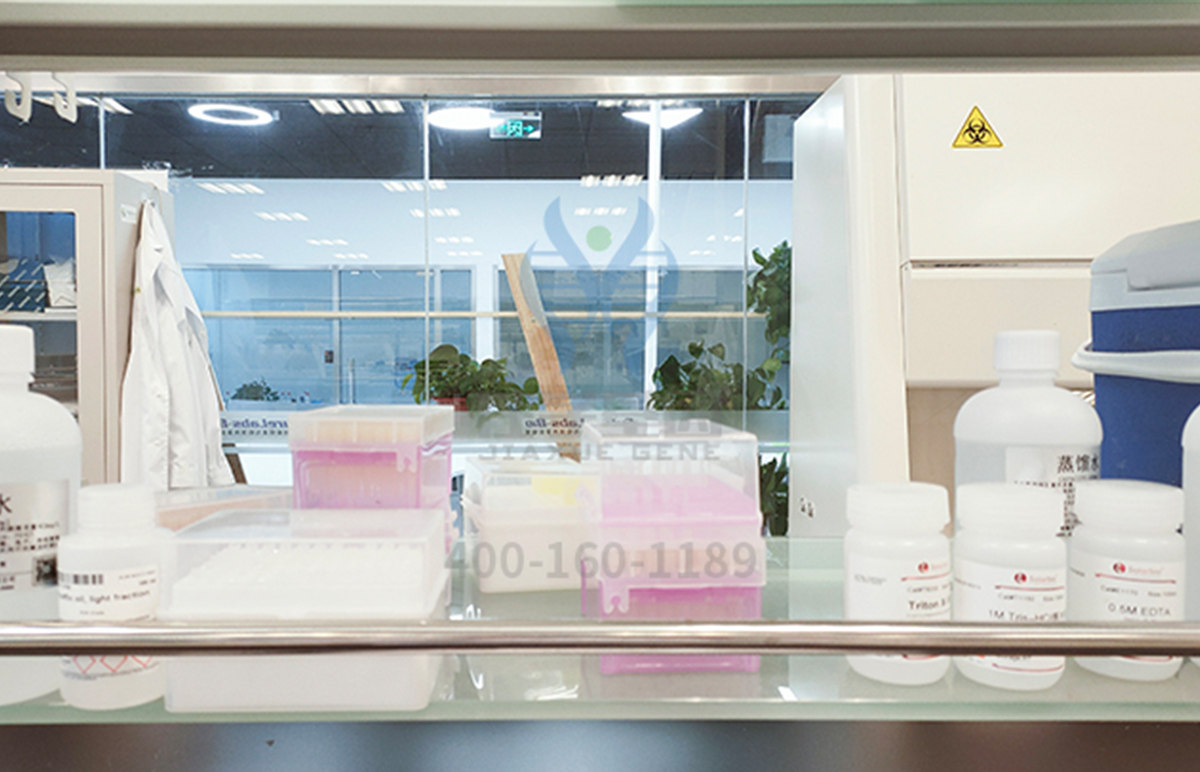 【佳学基因-基因检测】为什么蚊子总是喜欢吸你的血?秘密原来在基因里 【佳学基因-基因检测】为什么蚊子总是喜欢吸你的血?秘密原来在基因里