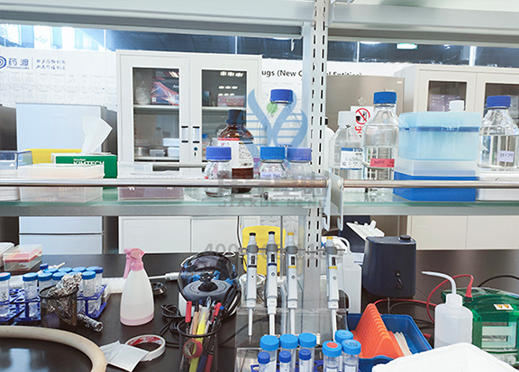 【佳学基因-基因检测】解密天赋：世界上智商最高的小女孩，4岁智商接近爱因斯坦，1岁就能正常交流