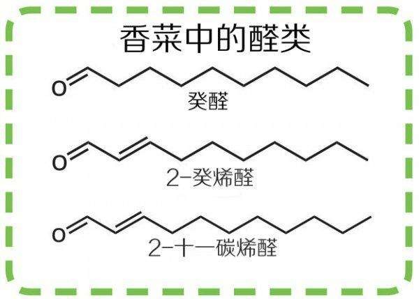 【佳学基因解码-基因检测】为什么你这么讨厌香菜? 【佳学基因解码-基因检测】为什么你这么讨厌香菜?