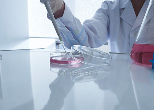 【佳学基因解码-基因检测】为什么你这么讨厌香菜? 【佳学基因解码-基因检测】为什么你这么讨厌香菜?