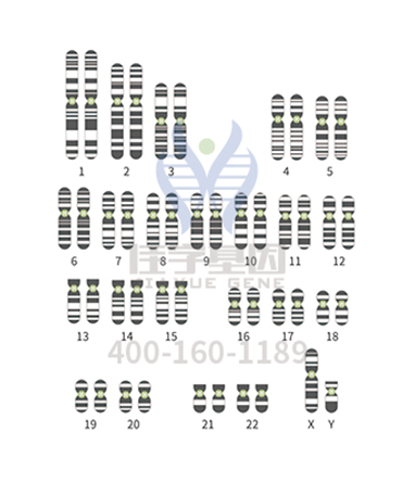 【佳学基因-基因检测】同被哈佛录取双胞胎姐妹花又一同进入央视!盘点那些年走红的双胞胎们 【佳学基因-基因检测】同被哈佛录取双胞胎姐妹花又一同进入央视!盘点那些年走红的双胞胎们