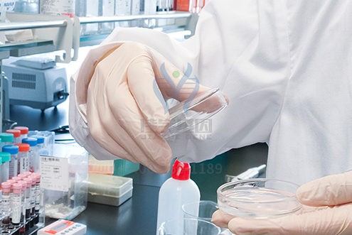 【佳学基因检测】湖北省孝感市基因检测指定机构 【佳学基因检测】湖北省孝感市基因检测指定机构