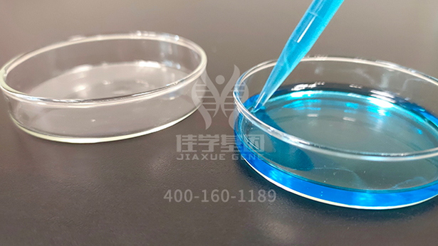 【佳学基因-基因检测】这个家庭15口人均是六指!基因解码找原因 【佳学基因-基因检测】这个家庭15口人均是六指!基因解码找原因