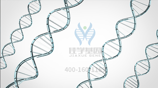【佳学基因-基因检测】家族三人都截瘫,基因解码阻断悲剧延续 【佳学基因-基因检测】家族三人都截瘫,基因解码阻断悲剧延续