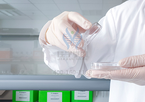 【佳学基因解码-基因检测】父母可能遗传给孩子的几种常见疾病,该如何避免? 【佳学基因解码-基因检测】父母可能遗传给孩子的几种常见疾病,该如何避免?