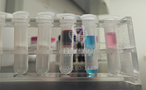 【佳学基因解码-基因检测】父母可能遗传给孩子的几种常见疾病,该如何避免? 【佳学基因解码-基因检测】父母可能遗传给孩子的几种常见疾病,该如何避免?